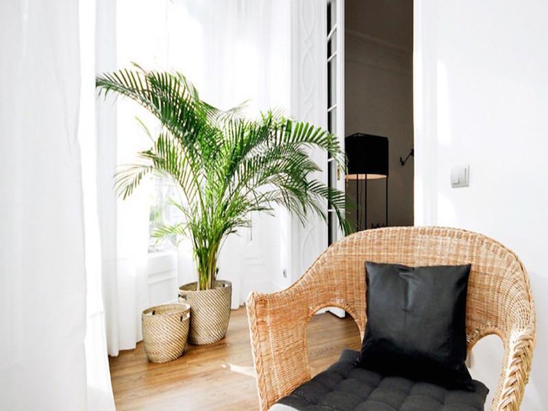 Malaga Apartments Andes La Cala Del Moral ภายนอก รูปภาพ